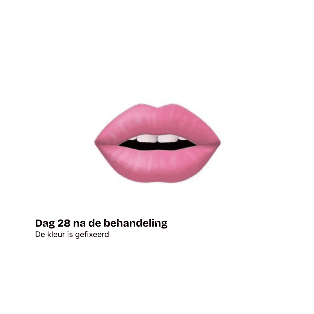 Illustratie van roze lippen die iets uit elkaar staan, waardoor witte tanden zichtbaar worden. Daaronder staat "Dag 28 na de behandeling. De kleur is gefixeerd." Perfect voor een beautysalon in Schijndel gespecialiseerd in poeder wenkbrauwen.