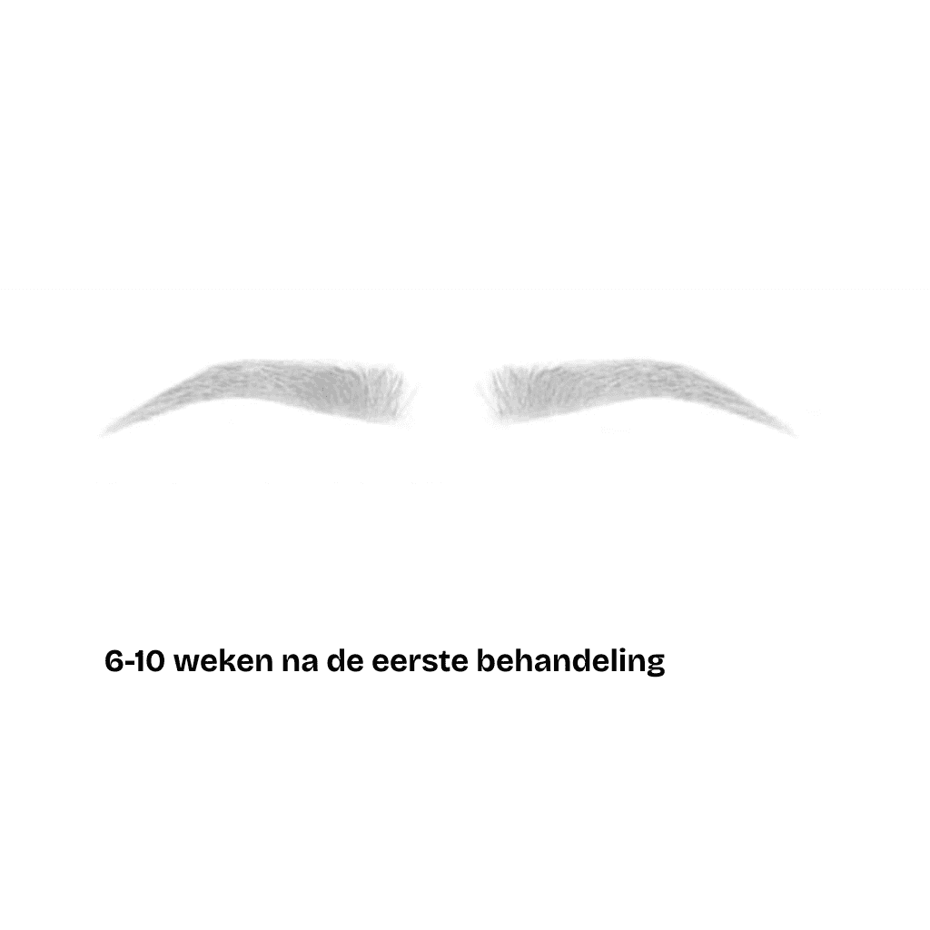 Een paar netjes gevormde wenkbrauwen getekend in lichtgrijs boven de Nederlandse tekst 6-10 weken na de eerste behandeling op een witte achtergrond, met de nadruk op PMU-technieken.